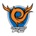 대구 FC.svg