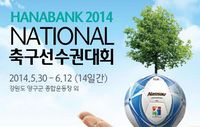 하나은행 2014 내셔널축구선수권대회
