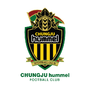 HummelFC.png