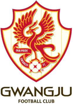 광주FC.png