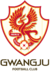 광주FC.png