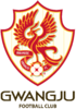 광주FC.png