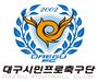 대구2013.jpg